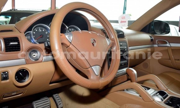 Buy Import Porsche Cayenne Green Car in Import - Dubai in Adrar Buy Import Porsche Cayenne Green Car in Import - Dubai in Adrar