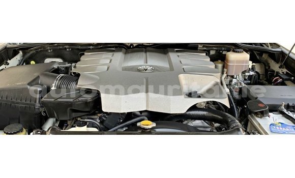 Acheter Import Voiture Toyota Land Cruiser Blanc à Import - Dubai, Adrar Acheter Import Voiture Toyota Land Cruiser Blanc à Import - Dubai, Adrar