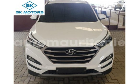 Buy Import Hyundai Tucson White Car in Import - Dubai in Adrar