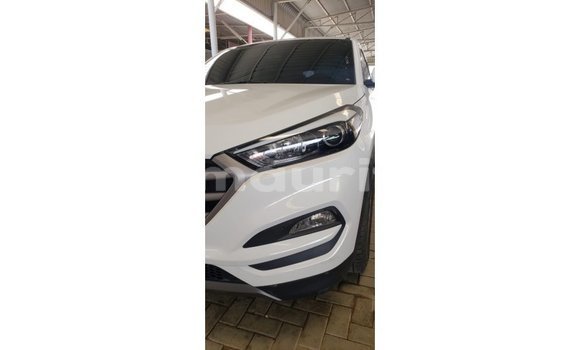 Buy Import Hyundai Tucson White Car in Import - Dubai in Adrar Buy Import Hyundai Tucson White Car in Import - Dubai in Adrar