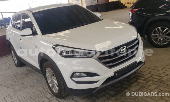 Buy Import Hyundai Tucson White Car in Import - Dubai in Adrar Buy Import Hyundai Tucson White Car in Import - Dubai in Adrar
