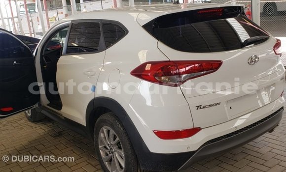 Buy Import Hyundai Tucson White Car in Import - Dubai in Adrar Buy Import Hyundai Tucson White Car in Import - Dubai in Adrar