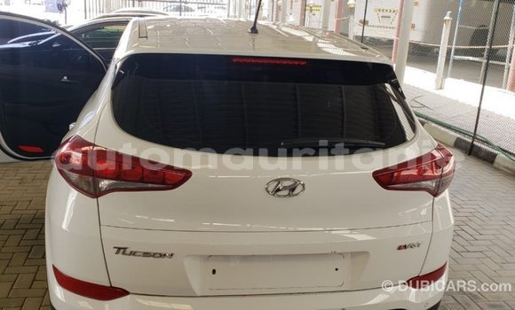 Buy Import Hyundai Tucson White Car in Import - Dubai in Adrar Buy Import Hyundai Tucson White Car in Import - Dubai in Adrar