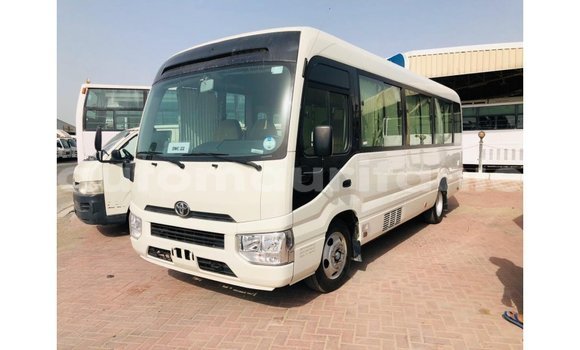 Acheter Import Voiture Toyota Coaster Blanc à Import - Dubai, Adrar