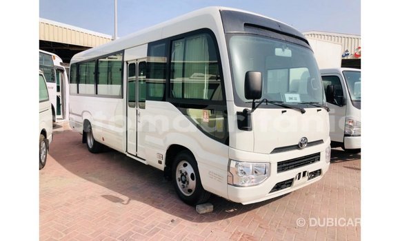 Buy Import Toyota Coaster White Car in Import - Dubai in Adrar Buy Import Toyota Coaster White Car in Import - Dubai in Adrar