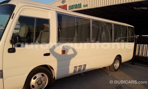 Buy Import Toyota Coaster White Car in Import - Dubai in Adrar Buy Import Toyota Coaster White Car in Import - Dubai in Adrar