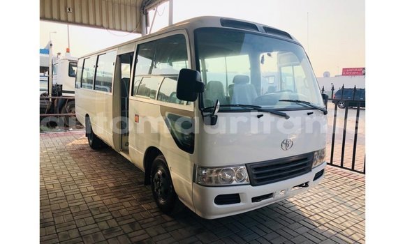 Buy Import Toyota Coaster White Car in Import - Dubai in Adrar Buy Import Toyota Coaster White Car in Import - Dubai in Adrar