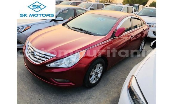 Buy Import Hyundai Sonata Red Car in Import - Dubai in Adrar