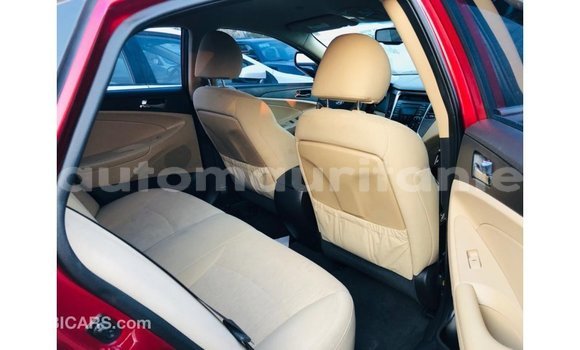 Buy Import Hyundai Sonata Red Car in Import - Dubai in Adrar Buy Import Hyundai Sonata Red Car in Import - Dubai in Adrar
