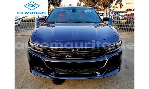 Acheter Import Voiture Dodge Charger Bleu à Import - Dubai, Adrar