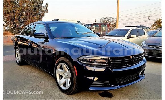 Buy Import Dodge Charger Blue Car in Import - Dubai in Adrar Buy Import Dodge Charger Blue Car in Import - Dubai in Adrar