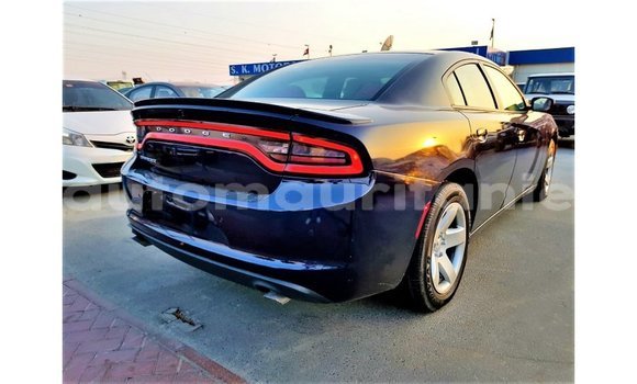 Buy Import Dodge Charger Blue Car in Import - Dubai in Adrar Buy Import Dodge Charger Blue Car in Import - Dubai in Adrar