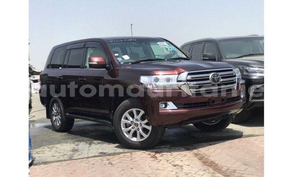 Buy Import Toyota Land Cruiser Red Car in Import - Dubai in Adrar