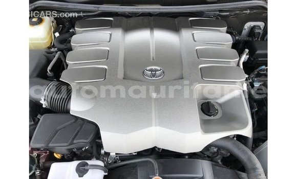 Acheter Import Voiture Toyota Land Cruiser Rouge à Import - Dubai, Adrar Acheter Import Voiture Toyota Land Cruiser Rouge à Import - Dubai, Adrar