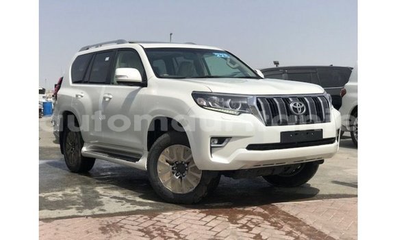 Buy Import Toyota Prado White Car in Import - Dubai in Adrar