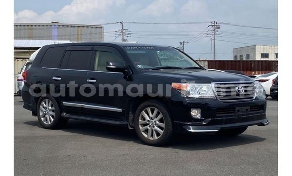 Buy Import Toyota Land Cruiser Black Car in Import - Dubai in Adrar