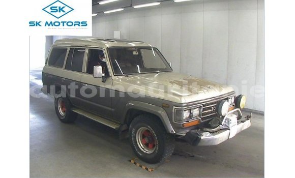 Acheter Import Voiture Toyota Land Cruiser Autre à Import - Dubai, Adrar Acheter Import Voiture Toyota Land Cruiser Autre à Import - Dubai, Adrar