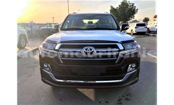Buy Import Toyota Land Cruiser Other Car in Import - Dubai in Adrar