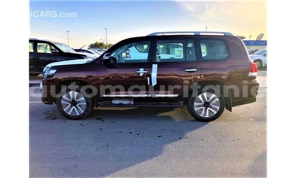 Buy Import Toyota Land Cruiser Other Car in Import - Dubai in Adrar Buy Import Toyota Land Cruiser Other Car in Import - Dubai in Adrar