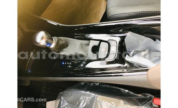 Buy Import Toyota C-HR Other Car in Import - Dubai in Adrar Buy Import Toyota C-HR Other Car in Import - Dubai in Adrar