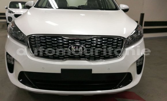Buy Import Kia Sorento White Car in Import - Dubai in Adrar
