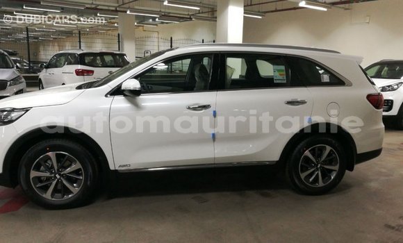 Buy Import Kia Sorento White Car in Import - Dubai in Adrar Buy Import Kia Sorento White Car in Import - Dubai in Adrar