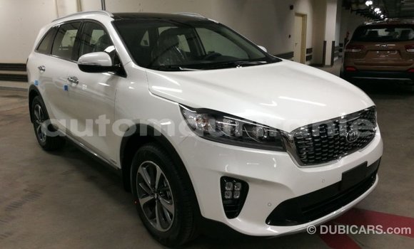Buy Import Kia Sorento White Car in Import - Dubai in Adrar Buy Import Kia Sorento White Car in Import - Dubai in Adrar