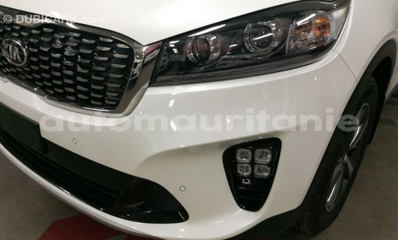 Buy Import Kia Sorento White Car in Import - Dubai in Adrar Buy Import Kia Sorento White Car in Import - Dubai in Adrar