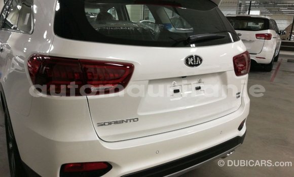 Buy Import Kia Sorento White Car in Import - Dubai in Adrar Buy Import Kia Sorento White Car in Import - Dubai in Adrar