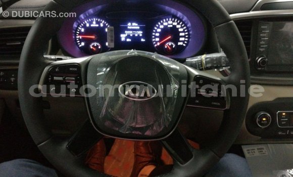 Buy Import Kia Sorento White Car in Import - Dubai in Adrar Buy Import Kia Sorento White Car in Import - Dubai in Adrar