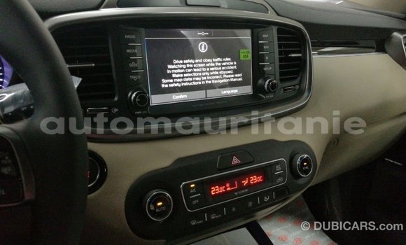 Buy Import Kia Sorento White Car in Import - Dubai in Adrar Buy Import Kia Sorento White Car in Import - Dubai in Adrar