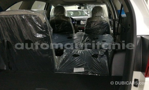 Buy Import Kia Sorento White Car in Import - Dubai in Adrar Buy Import Kia Sorento White Car in Import - Dubai in Adrar