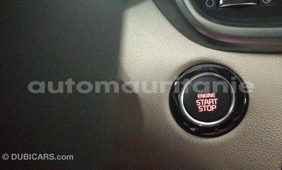 Buy Import Kia Sorento White Car in Import - Dubai in Adrar Buy Import Kia Sorento White Car in Import - Dubai in Adrar