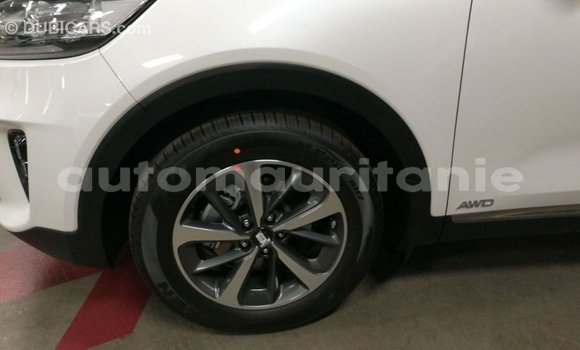 Buy Import Kia Sorento White Car in Import - Dubai in Adrar Buy Import Kia Sorento White Car in Import - Dubai in Adrar