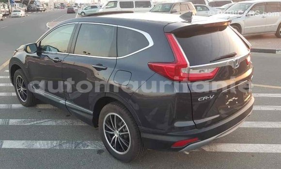 Acheter Import Moto Honda C Autre à Import - Dubai, Adrar