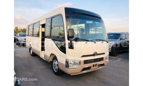 Buy Import Toyota Coaster White Car in Import - Dubai in Adrar Buy Import Toyota Coaster White Car in Import - Dubai in Adrar