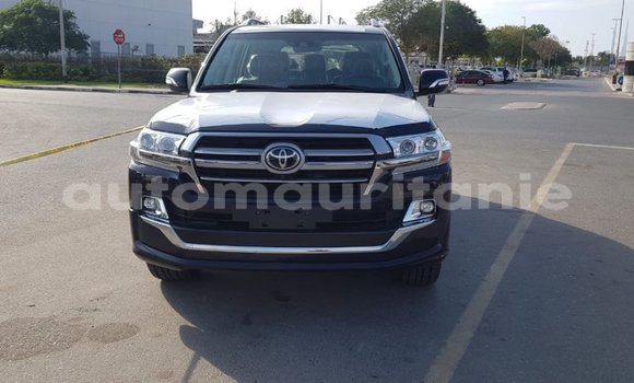 Buy Import Toyota Land Cruiser Black Car in Import - Dubai in Adrar