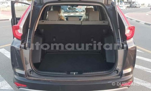 Acheter Import Moto Honda C Autre à Import - Dubai, Adrar Acheter Import Moto Honda C Autre à Import - Dubai, Adrar