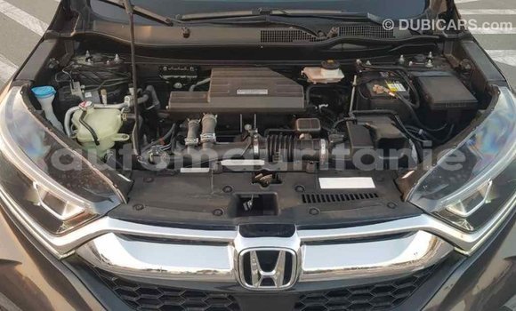 Acheter Import Moto Honda C Autre à Import - Dubai, Adrar Acheter Import Moto Honda C Autre à Import - Dubai, Adrar