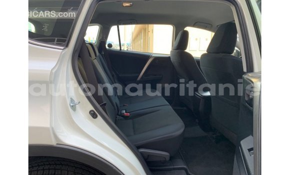 Acheter Import Utilitaire Toyota HiAce Blanc à Import - Dubai, Adrar Acheter Import Utilitaire Toyota HiAce Blanc à Import - Dubai, Adrar