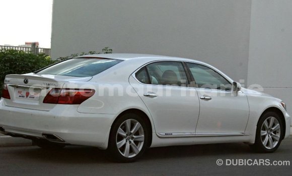 Acheter Import Voiture Lexus LS Blanc à Import - Dubai, Adrar Acheter Import Voiture Lexus LS Blanc à Import - Dubai, Adrar