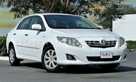Buy Import Toyota Corolla White Car in Import - Dubai in Adrar