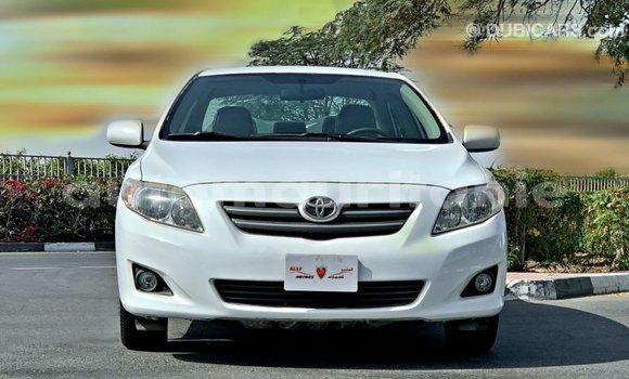 Acheter Import Voiture Toyota Corolla Blanc à Import - Dubai, Adrar Acheter Import Voiture Toyota Corolla Blanc à Import - Dubai, Adrar