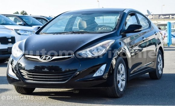 Buy Import Hyundai Elantra Black Car in Import - Dubai in Adrar Buy Import Hyundai Elantra Black Car in Import - Dubai in Adrar