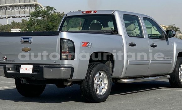Acheter Import Voiture Chevrolet Silverado Autre à Import - Dubai, Adrar Acheter Import Voiture Chevrolet Silverado Autre à Import - Dubai, Adrar
