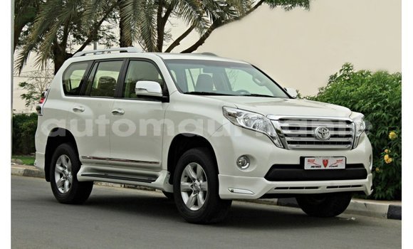 Buy Import Toyota Prado White Car in Import - Dubai in Adrar