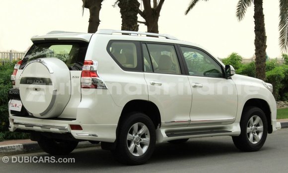 Acheter Import Voiture Toyota Prado Blanc à Import - Dubai, Adrar Acheter Import Voiture Toyota Prado Blanc à Import - Dubai, Adrar