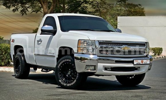 Acheter Import Voiture Chevrolet Silverado Blanc à Import - Dubai, Adrar Acheter Import Voiture Chevrolet Silverado Blanc à Import - Dubai, Adrar