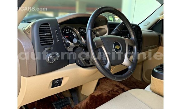 Acheter Import Voiture Chevrolet Silverado Blanc à Import - Dubai, Adrar Acheter Import Voiture Chevrolet Silverado Blanc à Import - Dubai, Adrar