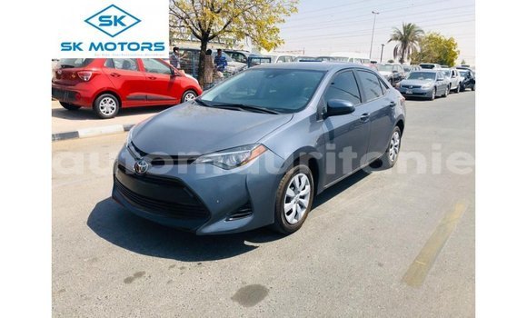 Buy Import Toyota Corolla Other Car in Import - Dubai in Adrar Buy Import Toyota Corolla Other Car in Import - Dubai in Adrar